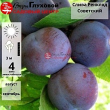 Основное изображение товара