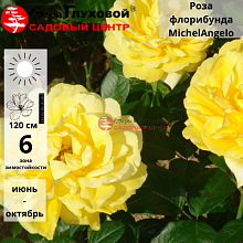 Основное изображение товара