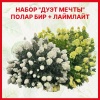 Набор гортензий "Дуэт мечты" на фото