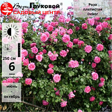 Основное изображение товара