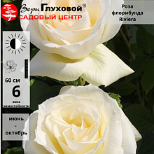 Основное изображение товара