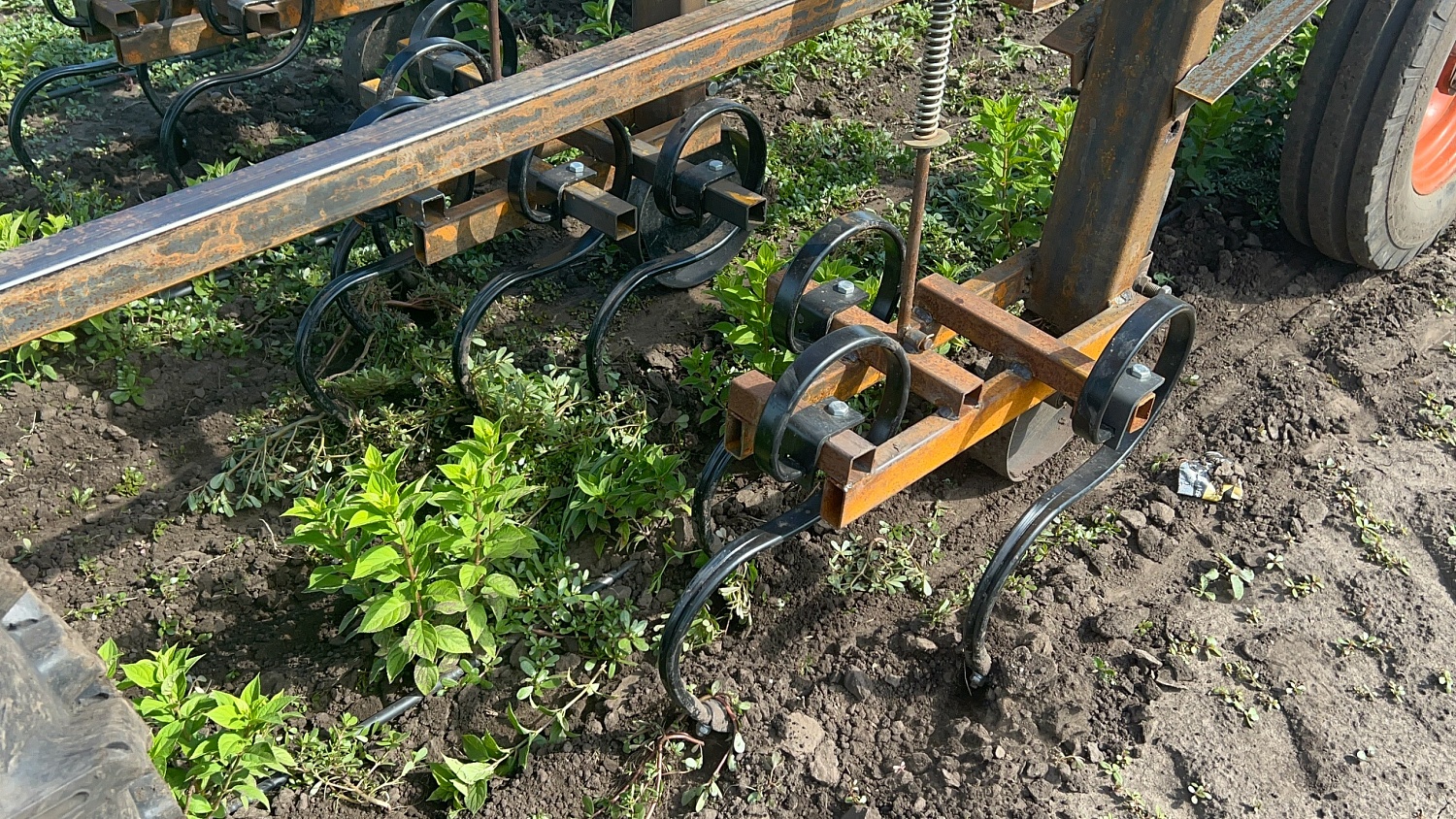 Новые решения в борьбе с сорняками