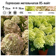 Основное изображение товара
