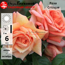 Основное изображение товара