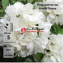 Основное изображение товара