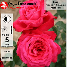 Основное изображение товара