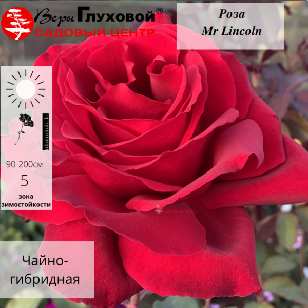 Основное изображение товара