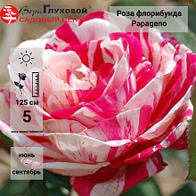 Основное изображение товара