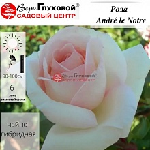 Основное изображение товара