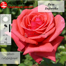 Основное изображение товара