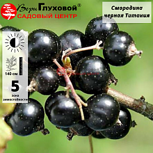 Основное изображение товара