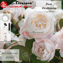 Основное изображение товара