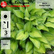 Основное изображение товара
