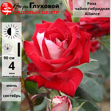 Основное изображение товара