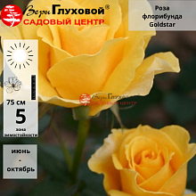 Основное изображение товара