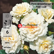 Основное изображение товара