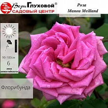 Основное изображение товара
