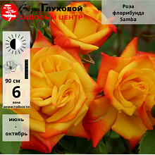 Основное изображение товара