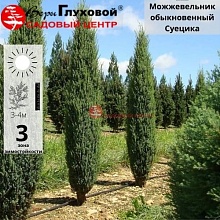 Основное изображение товара