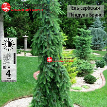 Основное изображение товара