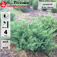 Основное изображение товара