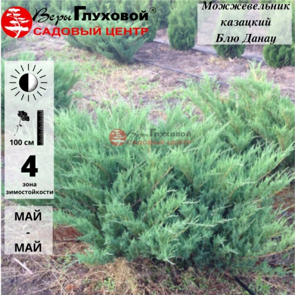 Основное изображение товара