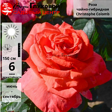 Основное изображение товара