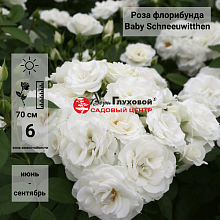 Основное изображение товара