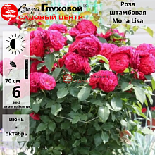 Основное изображение товара