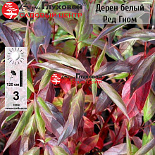 Основное изображение товара