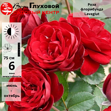 Основное изображение товара