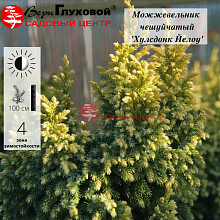 Основное изображение товара