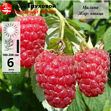 Рисунок 131.jpg