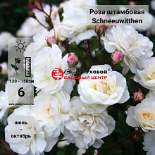 Основное изображение товара