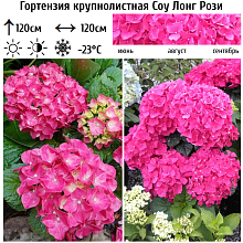 Основное изображение товара