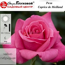 Основное изображение товара