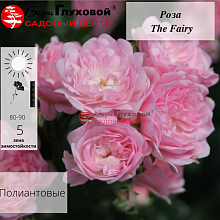 Основное изображение товара