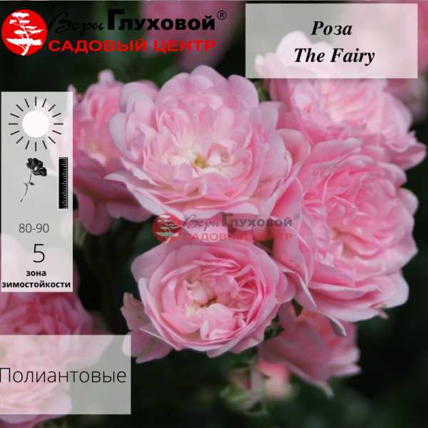 Основное изображение товара