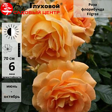 Основное изображение товара